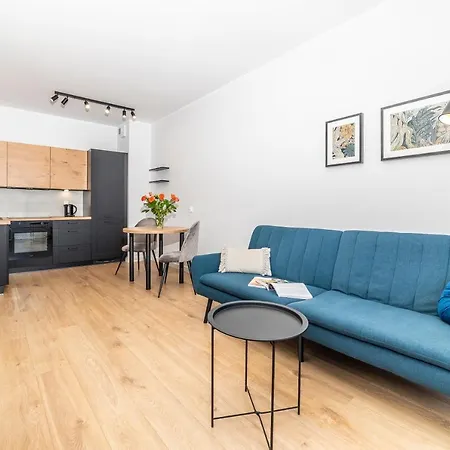 公寓 Przy Iv Sluzie - Lux 50m2 比得哥什